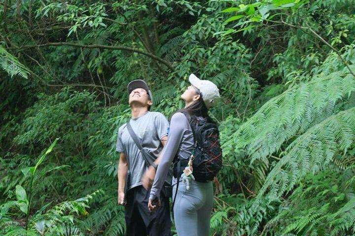 ガイドと一緒に森を散策