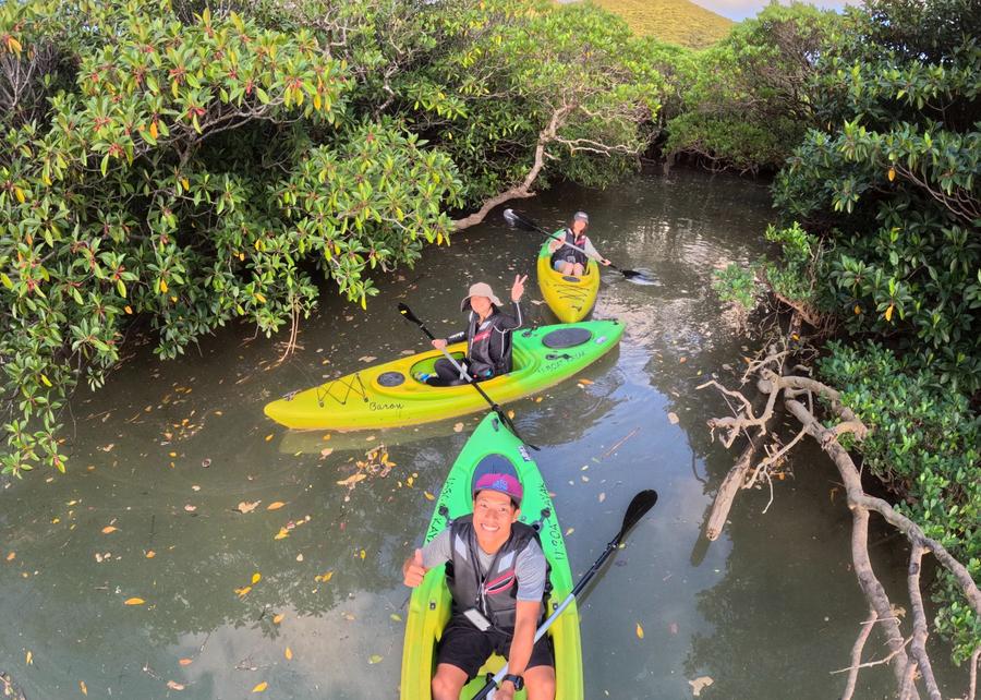 貸切ツアーでカヤックを楽しむ